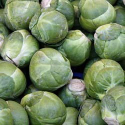Sanda Brussels Sprout